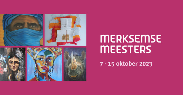 Een selectie kunstwerken uit de expo 'Merksemse Meesters'.